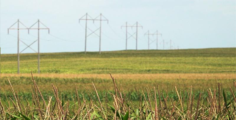 Lines in field