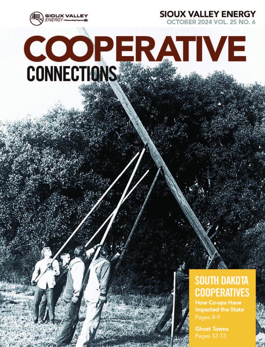 Cooperative Connections Magazine cover of men using pikes to set pole