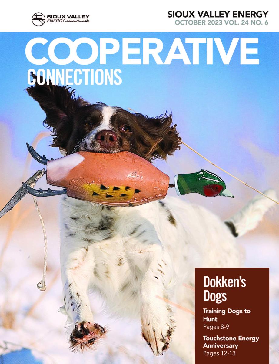 October 2023 Magazine Cover of dog fetching bird decoy