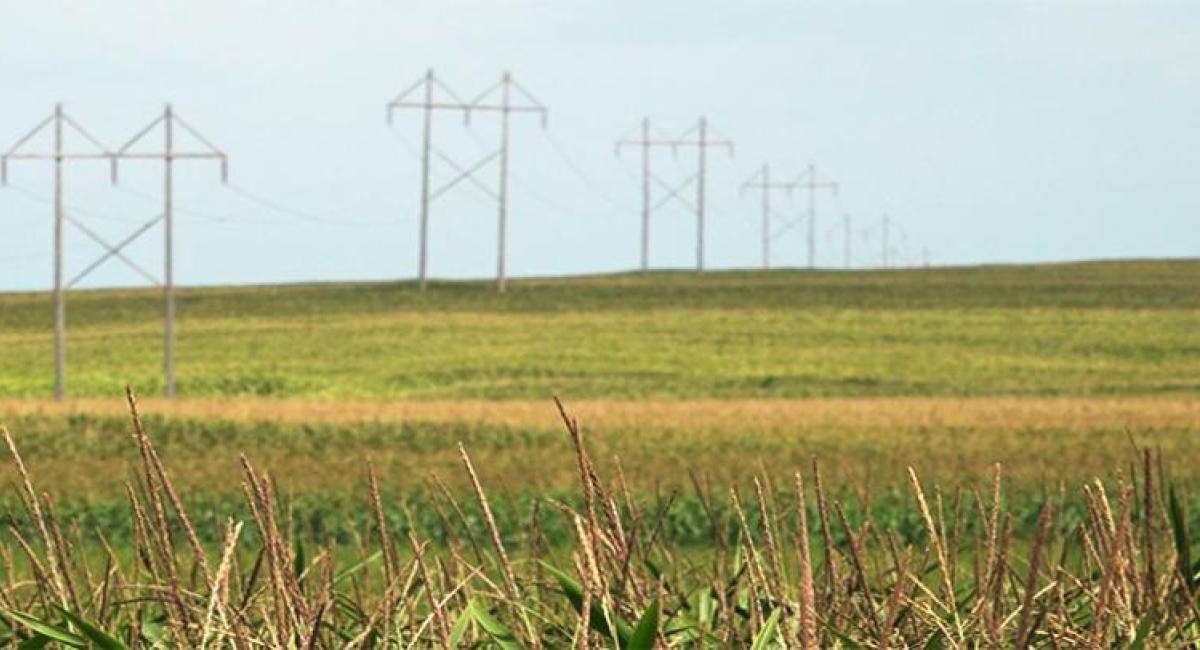 Lines in field
