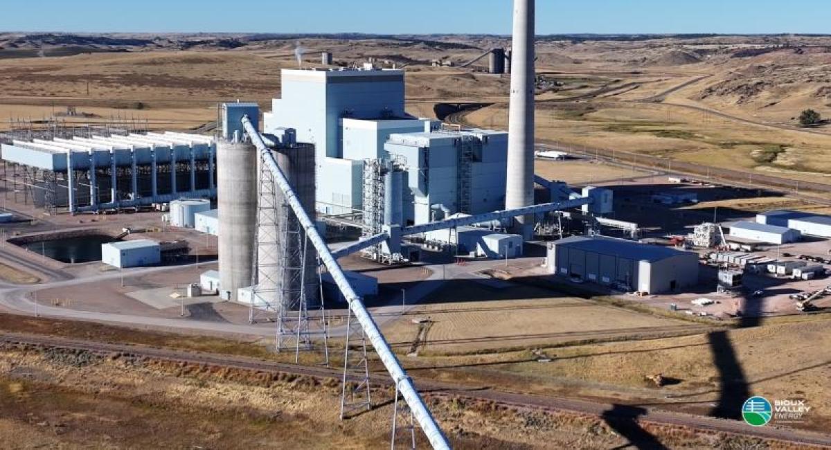 Basin plant